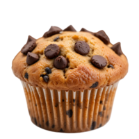 chocolate chip muffin on transparent background png