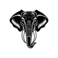 An elephant head in a black and white style vector