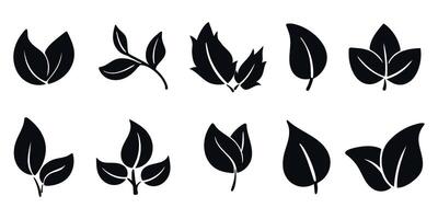 Leaves icons set. Black silhouette of foliage and leaflets vector