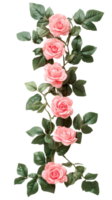 Pink roses climb a verdant vine elegantly arranged png