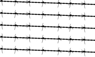 silhouette of the barbed wire fence pattern on white background. vector