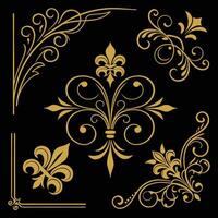 golden floral design elements on black background vector