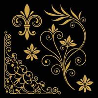 golden floral design elements set on black background vector