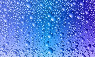 Water drops on blue background. Realistic bubbles of soda drink or condensation abstract texture. soft circles liquid. vector