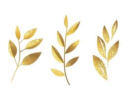 Set of golden botanical elements. Hand drawn gold colored foliage, branch with glitter. vector