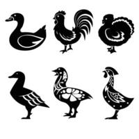 HD Bird Illustrations Chicken and Duck Silhouettes vector