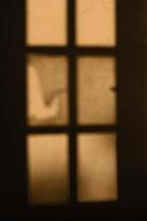Shadows dancing through elegant windowpanes at dusk, hinting at stories untold in the warm glow of twilight photo