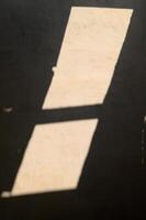 Shadows dancing on the wall as sunlight streams through a window at dusk photo