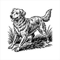Golden Retriever Running Through vector