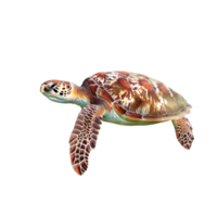 Realistic sea turtle with a textured shell, isolated on a transparent background png