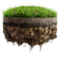 Cross-section of soil with fresh green grass on top, isolated on a transparent background png