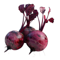 Fresh red beets with attached roots isolated on transparent background. png
