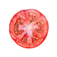 Tomato Slice with Star-Shaped Seed Pattern Isolated on Transparent Background png