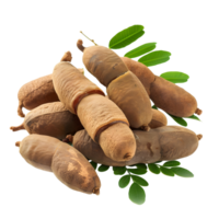 Whole Tamarinds with Fresh Green Leaves isolated on transparent background png