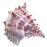 Large spiral seashell with natural patterns, isolated on a transparent background png