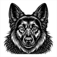 German Shepherd Head vector