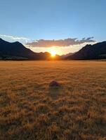 Golden sunset over a grassy field with mountains in the distance photo