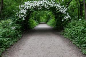 A path leads through a green tunnel of flowering trees photo