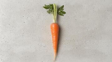 Fresh carrot with green leaves on a textured background photo