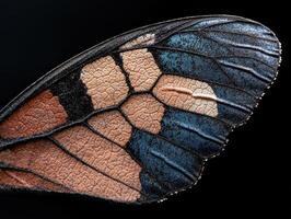 Detailed macro of a butterfly wing showing intricate patterns and textures photo