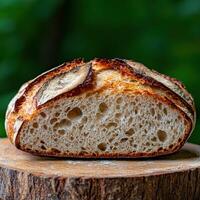 Freshly baked sourdough bread loaf on a wooden surface with a green background photo