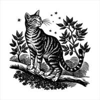 Frightened cat sits on a branch vector