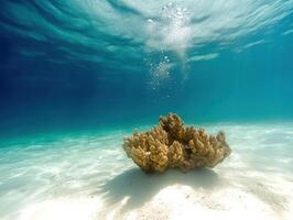 Underwater scene with coral on the seabed and bubbles rising to the surface photo