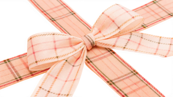 Isolated view of a chic bow with a textured ribbon on a transparent background png