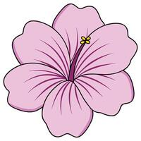 Pink Hibiscus Flower Illustration, Petals, Stamen, Blossom, Bloom, Graphic, Design, Floral, Art, Nat vector