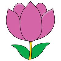 Pink Tulip Flower Illustration, Simple Drawing, Spring Bloom vector