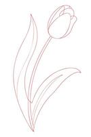 Elegant Line Drawing of a Single Red Tulip Flower vector