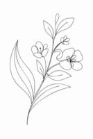 Elegant Line Art Floral Branch, Minimalist Botanical Sketch vector