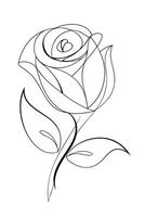 Elegant Single Line Rose Drawing, Botanical Art, Floral Design vector
