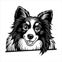 Shetland Sheepdog Dog Breed vector