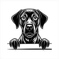 Adorable Rhodesian Ridgeback Dog vector