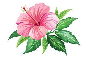 A pink hibiscus flower illustration, perfect for spring design. vector