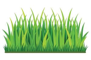 Lush Green Grass Border for Design Elements vector