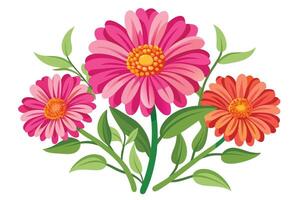 Coral gerbera daisies in a cheerful spring bouquet. vector