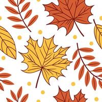 Warm autumn leaf collage seamless tile pattern with mixed foliage and rich colors concept as Mixed autumn foliage in rich colors create a warm leaf collage seamless tile pattern fo Dynamic vector