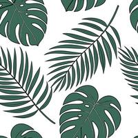 Tropical summer leaves seamless tile pattern with monstera and palm leaves for exotic decor concept as Exotic monstera and palm leaves arranged seamlessly to create a tropical summ Dynamic Set 2 vector