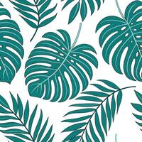 Tropical summer leaves seamless tile pattern with monstera and palm leaves for exotic decor concept as Exotic monstera and palm leaves arranged seamlessly to create a tropical summ Dynamic vector