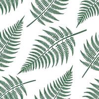 Soft green fern leaves seamless tile pattern with delicate fronds symbolizing new life and renewal concept as Soft green ferns with delicate fronds create a seamless tile pattern s Dynamic vector