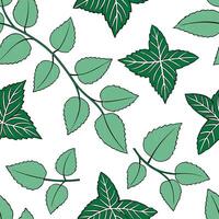 Refreshing summer leaves seamless tile pattern with mint and ivy for a clean fresh feel concept as Clean and fresh mint and ivy leaves arranged seamlessly to create a refreshing an Dynamic vector