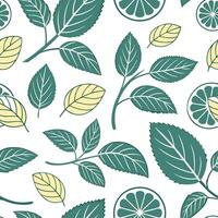 Refreshing summer leaves seamless pattern with mint and sage leaves for a cool crisp interior vibe concept as Mint and sage leaves arranged seamlessly to create a refreshing crisp Dynamic vector