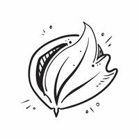 Leaf icon with copy space on a white background concept as A image of a leaf icon with generous copy space on a white background ideal for natural health and eco friendly th Dynamic vector