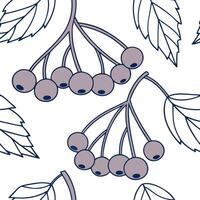 Frost covered berries seamless tile pattern with icy accents and winter hues concept as Icy accents on frost covered berries create a seamless tile pattern with winter hues for coz Dynamic vector