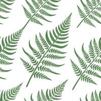 Fresh spring fern and moss seamless tile pattern with textured details and natural beauty concept as Textured fern and moss details in soft green shades create a seamless tile patt Dynamic vector
