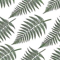 Fresh fern seamless tile pattern with intricate fronds and rich green tones for spring freshness concept as Fresh fern fronds with rich green tones and intricate details create a s Dynamic vector