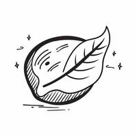 Flat design as Leaf icon with copy space on a white background concept as A image of a leaf icon with generous copy space on a white background ideal for natural health and Dynamic Set 4 vector