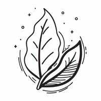 Flat design as Leaf icon with copy space on a white background concept as A image of a leaf icon with generous copy space on a white background ideal for natural health and Dynamic Set 3 vector